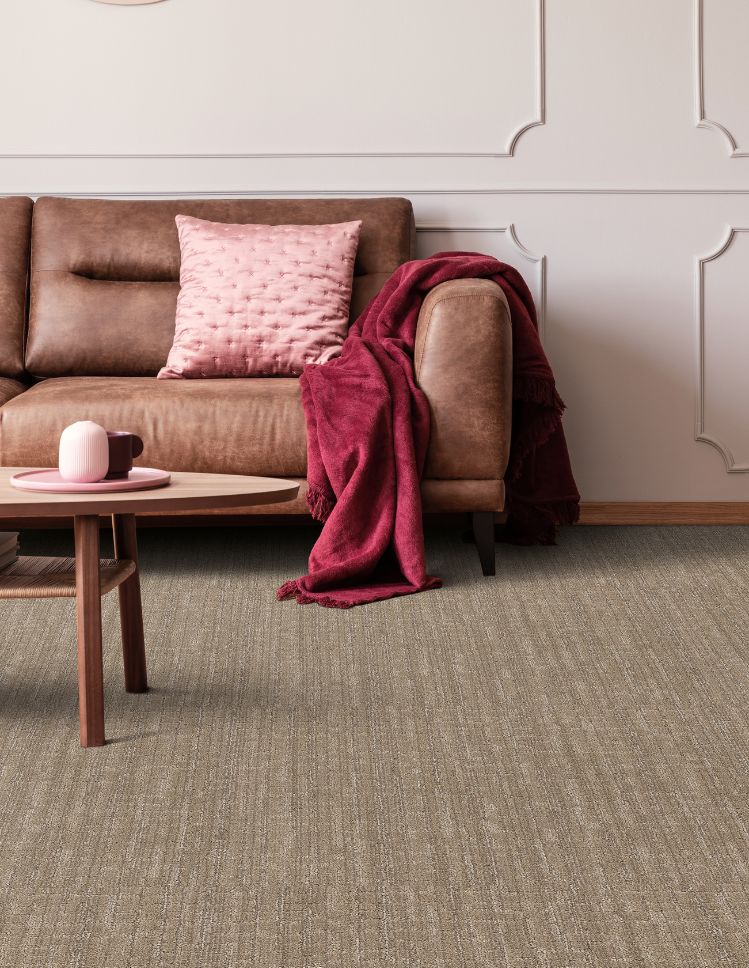 textured beige carpets in a San Antonio living room